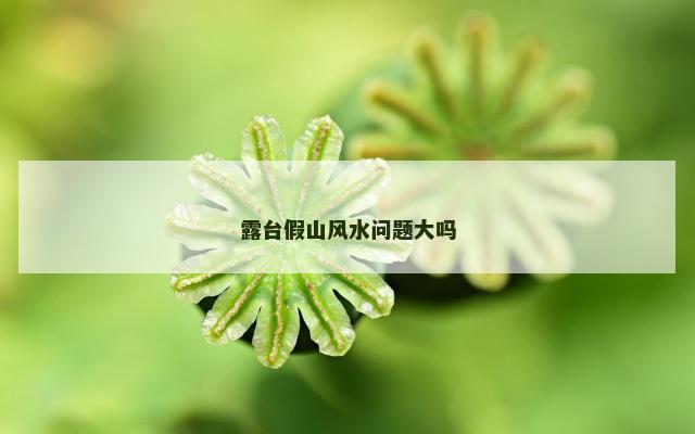 露台假山风水问题大吗