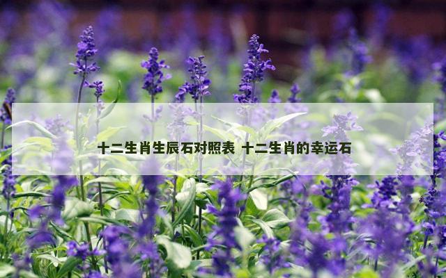 十二生肖生辰石对照表 十二生肖的幸运石
