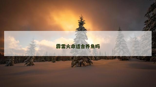 霹雷火命适合养鱼吗