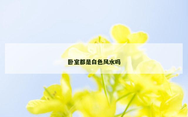 卧室都是白色风水吗