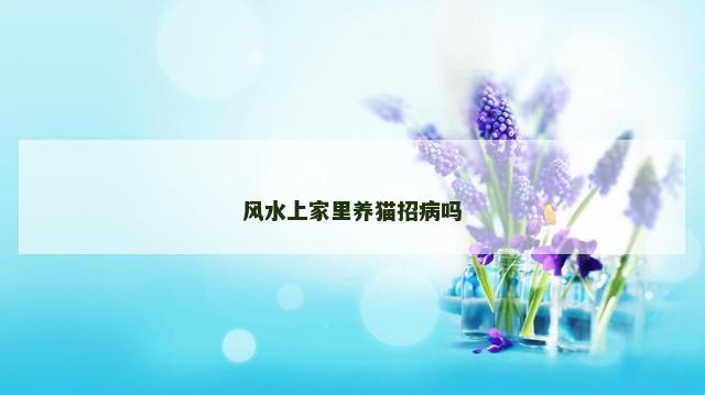 风水上家里养猫招病吗