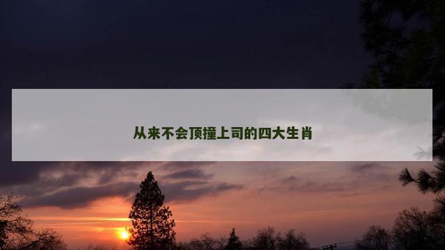 从来不会顶撞上司的四大生肖