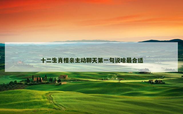 十二生肖相亲主动聊天第一句说啥最合适