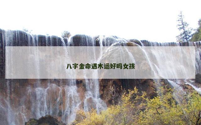 八字金命遇木运好吗女孩