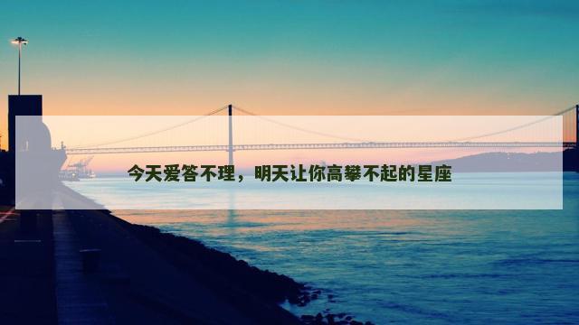 今天爱答不理，明天让你高攀不起的星座