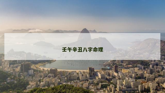 壬午辛丑八字命理