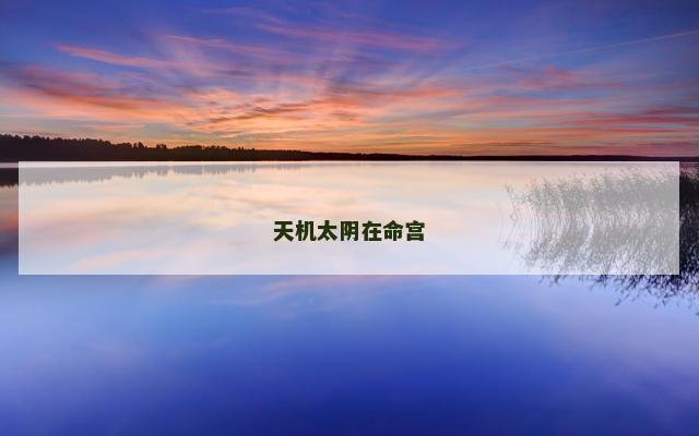天机太阴在命宫