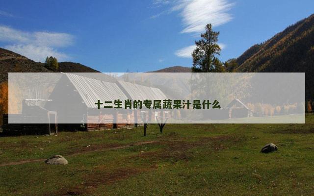 十二生肖的专属蔬果汁是什么