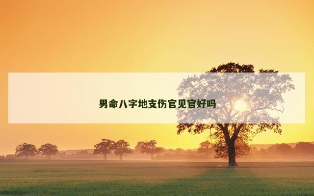 男命八字地支伤官见官好吗