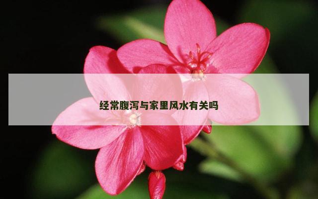 经常腹泻与家里风水有关吗