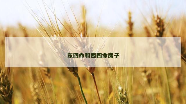 东四命和西四命房子