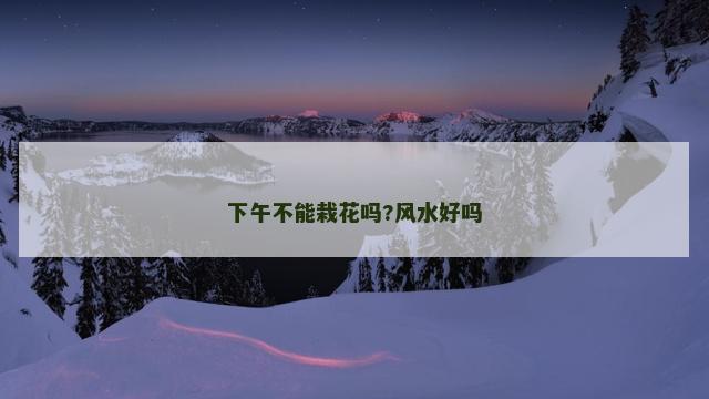 下午不能栽花吗?风水好吗