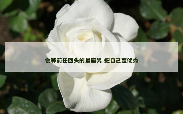 会等前任回头的星座男 把自己变优秀