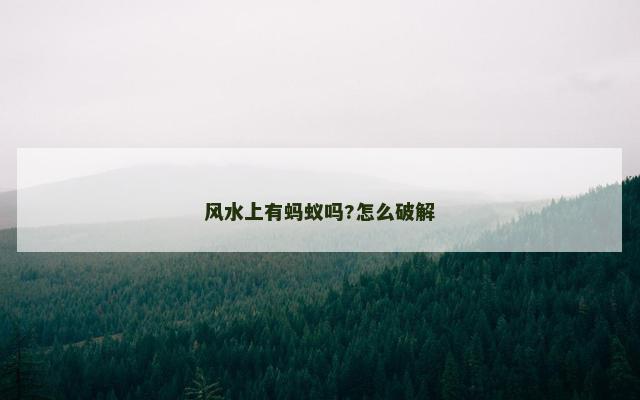 风水上有蚂蚁吗?怎么破解