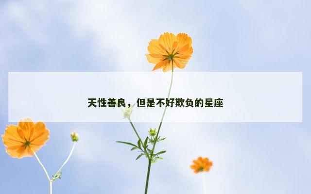 天性善良，但是不好欺负的星座