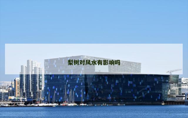 梨树对风水有影响吗