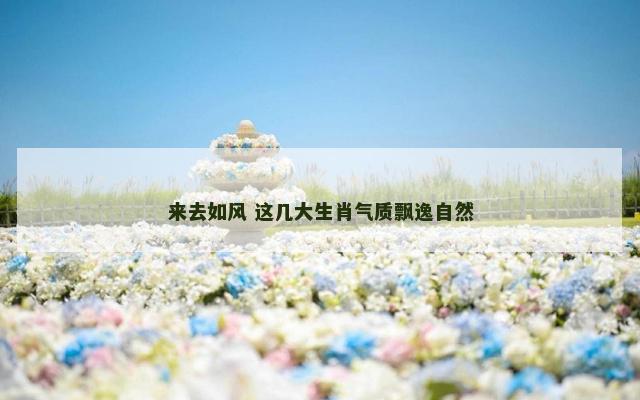 来去如风 这几大生肖气质飘逸自然