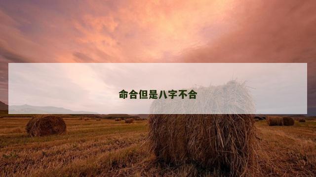 命合但是八字不合