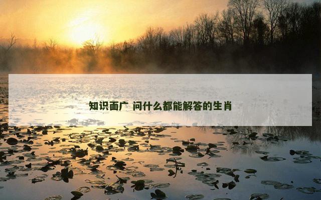 知识面广 问什么都能解答的生肖