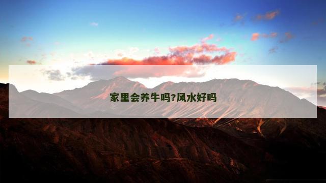 家里会养牛吗?风水好吗
