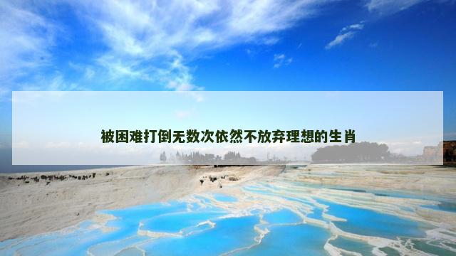 被困难打倒无数次依然不放弃理想的生肖
