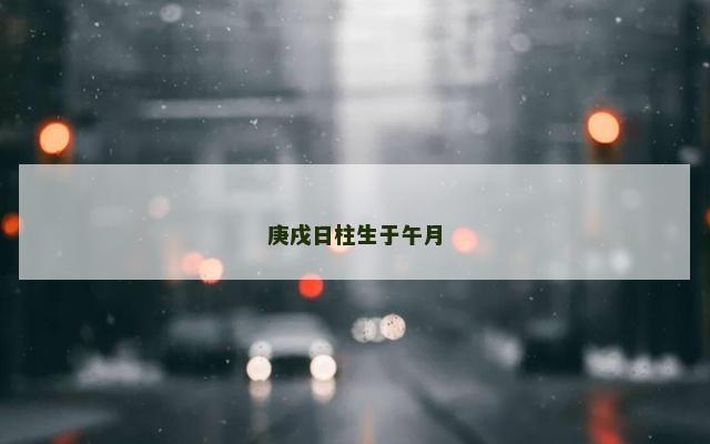 庚戌日柱生于午月
