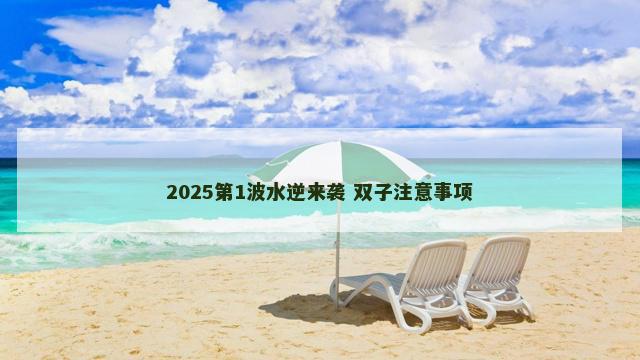 2025第1波水逆来袭 双子注意事项