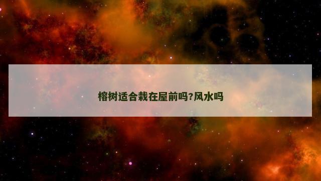 榕树适合栽在屋前吗?风水吗