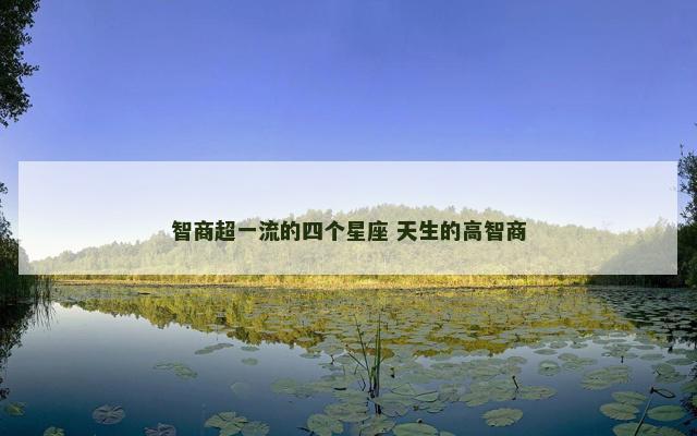 智商超一流的四个星座 天生的高智商
