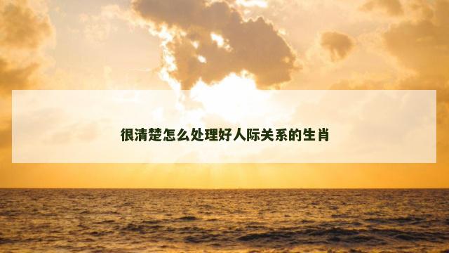 很清楚怎么处理好人际关系的生肖