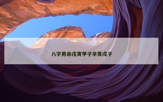 八字男命戊寅甲子辛亥戊子