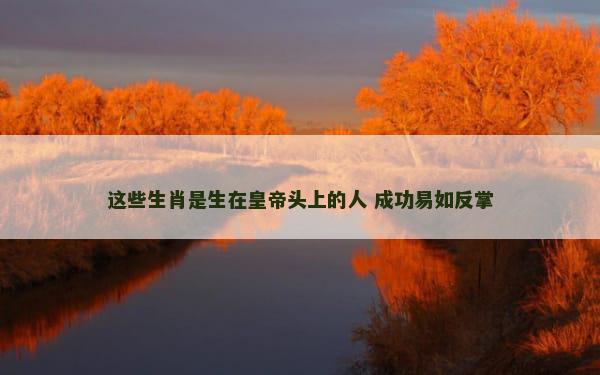 这些生肖是生在皇帝头上的人 成功易如反掌