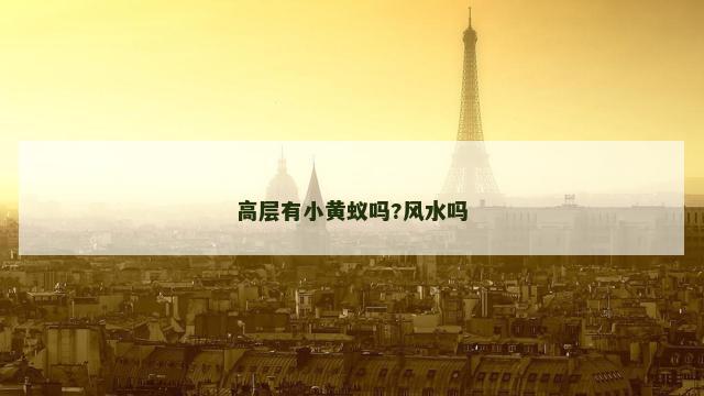 高层有小黄蚁吗?风水吗