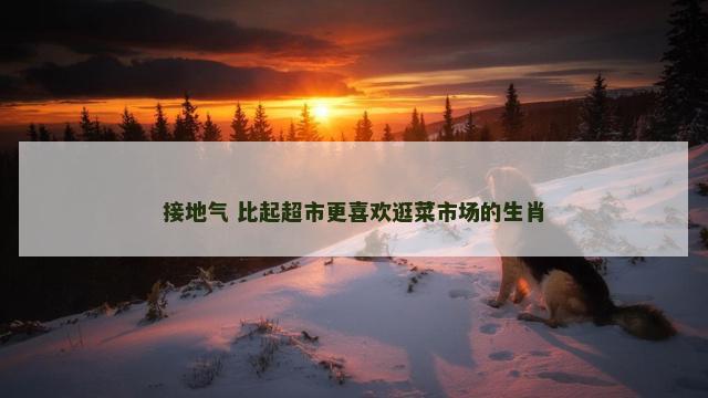 接地气 比起超市更喜欢逛菜市场的生肖