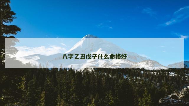 八字乙丑戊子什么命格好