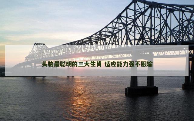 头脑最聪明的三大生肖 适应能力强不服输