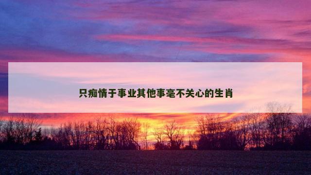 只痴情于事业其他事毫不关心的生肖