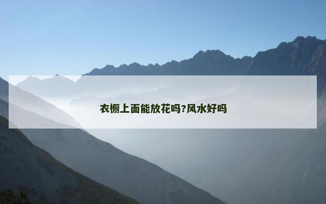 衣橱上面能放花吗?风水好吗