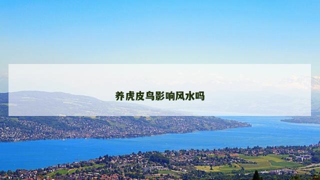 养虎皮鸟影响风水吗