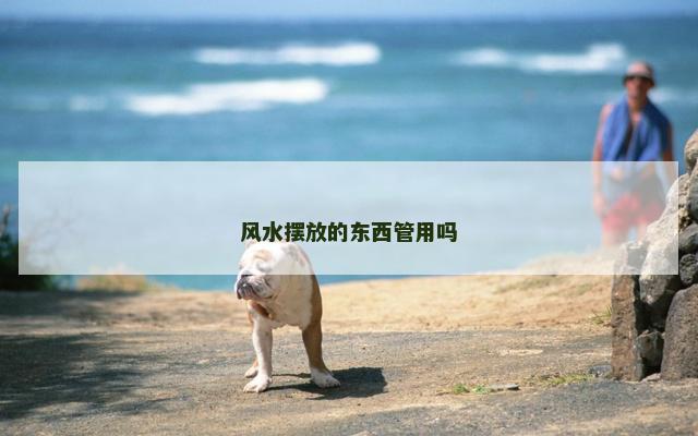 风水摆放的东西管用吗