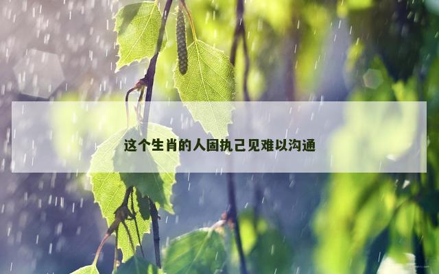 这个生肖的人固执己见难以沟通