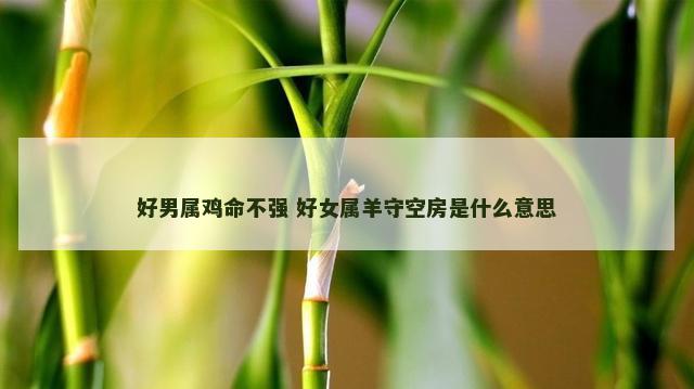 好男属鸡命不强 好女属羊守空房是什么意思