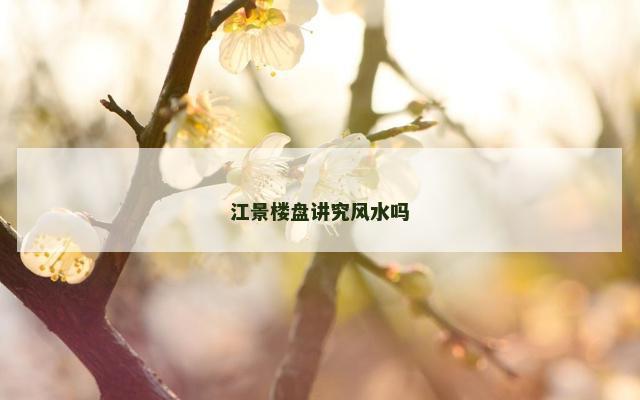江景楼盘讲究风水吗