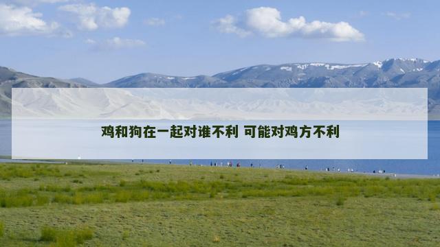 鸡和狗在一起对谁不利 可能对鸡方不利