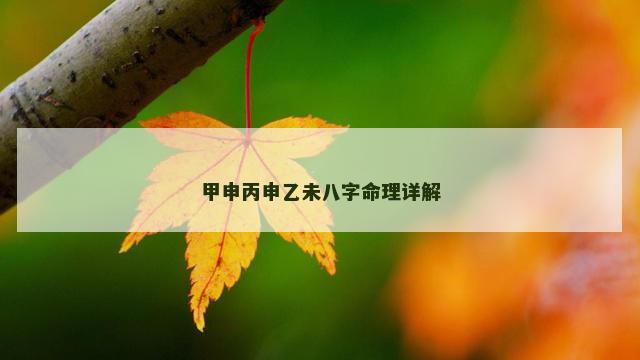 甲申丙申乙未八字命理详解