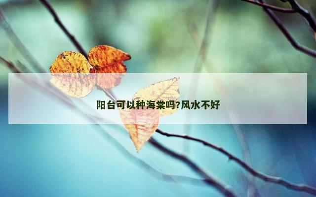 阳台可以种海棠吗?风水不好