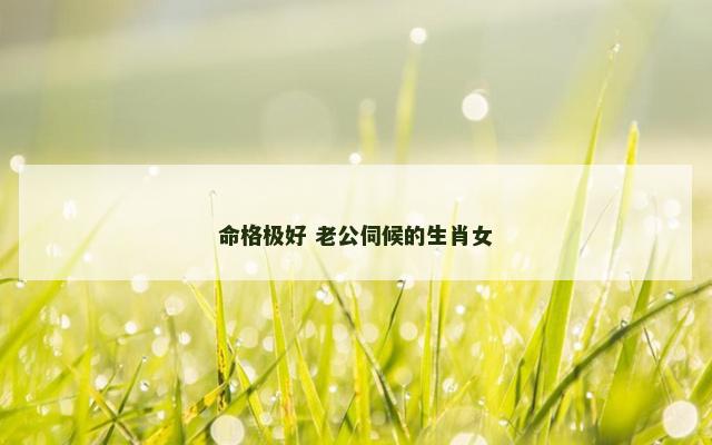 命格极好 老公伺候的生肖女