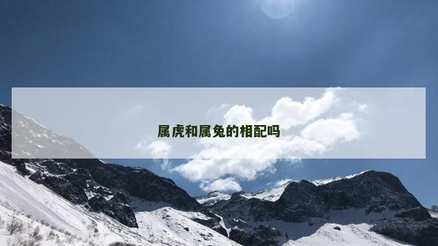 属虎和属兔的相配吗