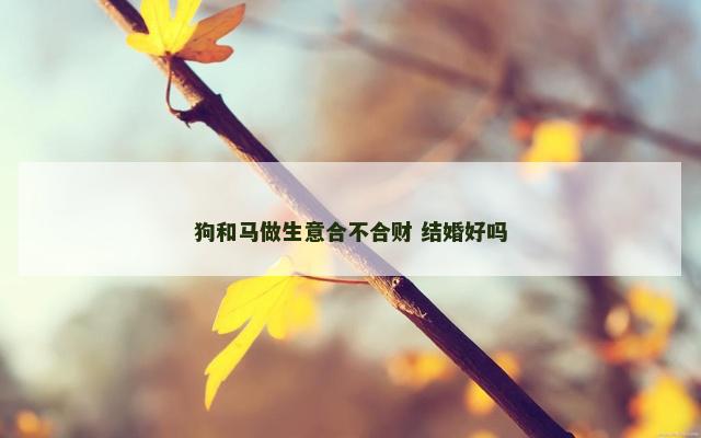 狗和马做生意合不合财 结婚好吗