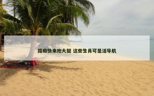 路痴快来抱大腿 这些生肖可是活导航